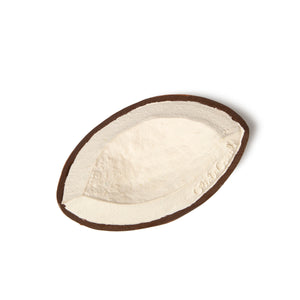 Coco the Coconut Oli & Carol