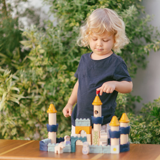 PlanToys Castle Building Blocks