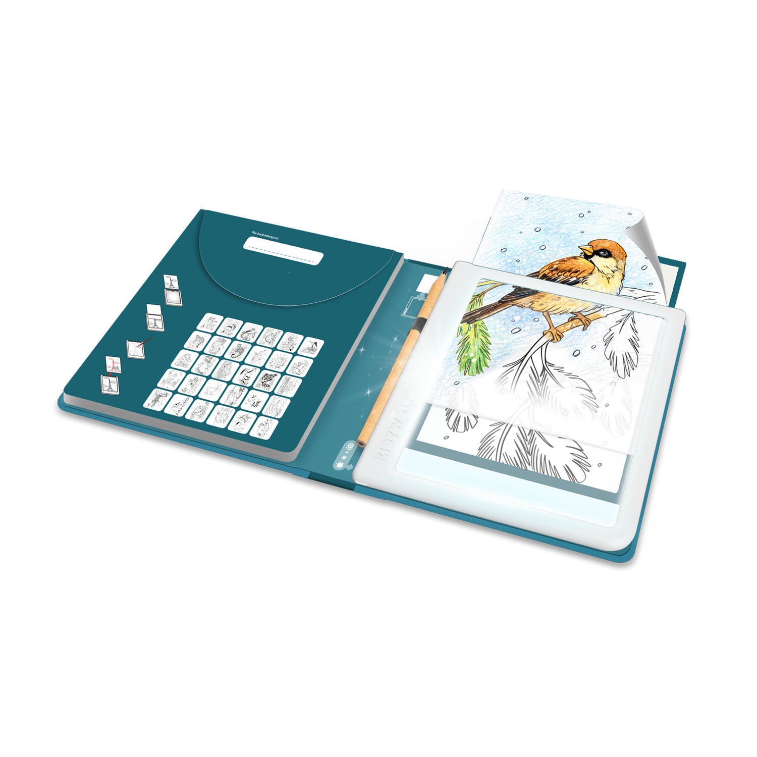 KIDYDRAW PAD Illuminated Drawing Pad Animals by Kidywolf
