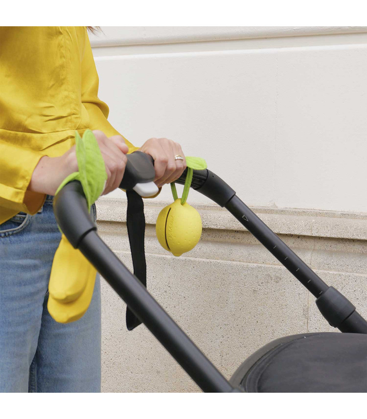 Oli & Carol Lou the Lemon Pacifier Case